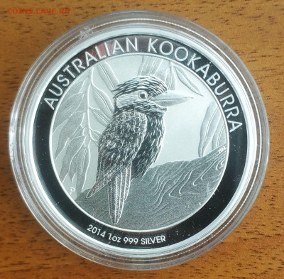 Австралия 1 доллар Кукабурра 2014 до 11.10 22-00 мск - Kukaburra 2014_1