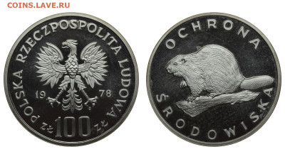 Польша. 100 злотых 1978 г. Бобр. До 10.10.19. - DSH_4294.JPG