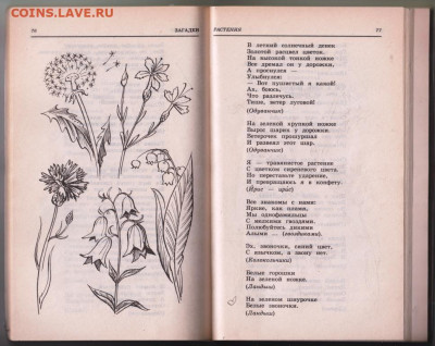 1000 загадок 2010 г до 15.10.19 г. в 23.00 - 009