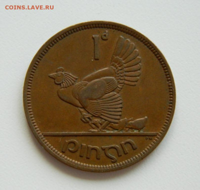Ирдандия 1 пенни 1946 г. (Фауна). до 13.10.19 - DSCN9950.JPG