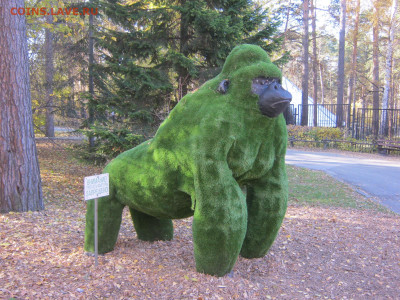 Новосибирск - третий город РФ - IMG_5427[1].JPG