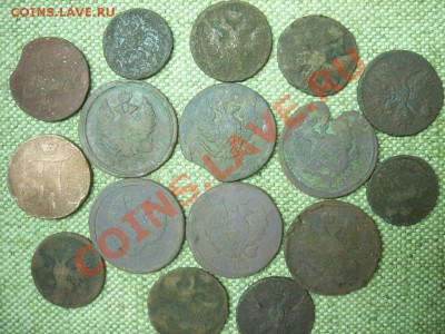Убитая медь до 25.07.11г 22.00(мск) - SPA51256.JPG