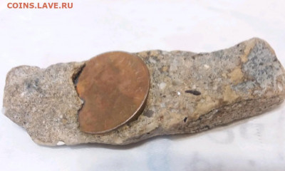 1000 лир окоменелость 1900-1904. - rps20191010_230034