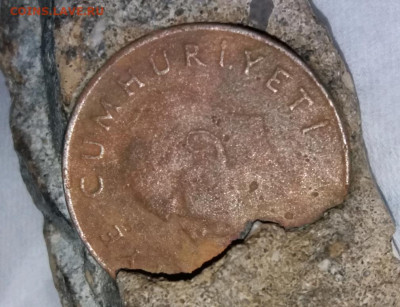 1000 лир окоменелость 1900-1904. - rps20191010_225934