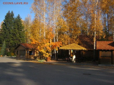 ФОТО - просто фото. Те что получились удачными. - IMG_5419[1].JPG