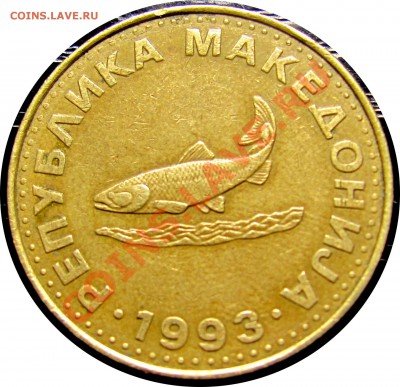 B63 Македония 2 денара 1993 (форель) до 27.07 в 22°° - B63 Macedonia 2 denar 1993_2