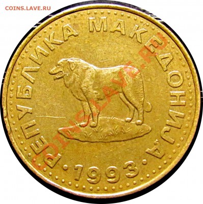 B64 Македония 1 денар 2008 (собака) до 27.07 в 22°° - B64 Macedonia 1 denar 1993_2