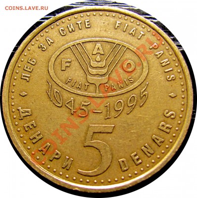 B65 Македония 5 денаров 1995 F.A.O. (рысь) до 27.07 в 22°° - B65 Macedonia 5 denar FAO 1995_1