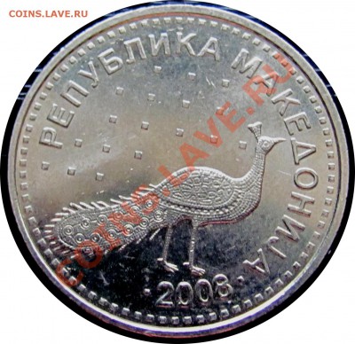 B61 Македония 10 денаров 2008 (павлин) до 27.07 в 22°° - B61 Macedonia 10 denar 2008_2