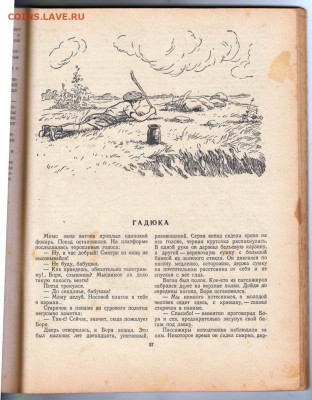 Невиданная птица 1951 г. до 18.10.19 г. в 23.00 - 011