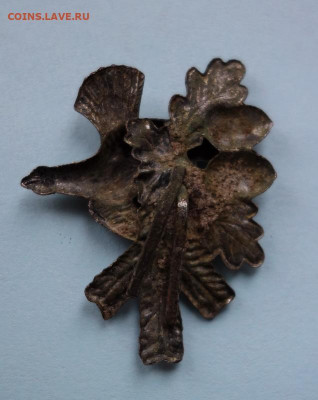 Кокарда Глухарь на Дубу до 18-10-2019 - DSC01729_новый размер.JPG