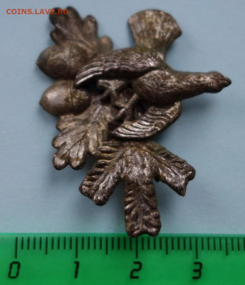 Кокарда Глухарь на Дубу до 18-10-2019 - DSC01724_новый размер.JPG