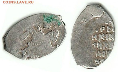 определение чешуек по КГ (пополняемая) - 0,50gr