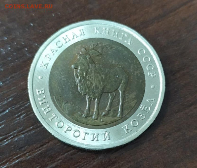 КРАСНАЯ КНИГА ВИНТОРОГИЙ КОЗЕЛ  ДО 17.10.2019 В 22.22 МСК - козел