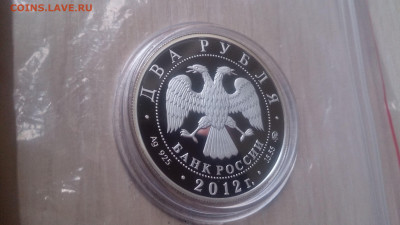 Красная книга 2012 Забайкальский Солонгой до 20.10 - DSC_0251.JPG
