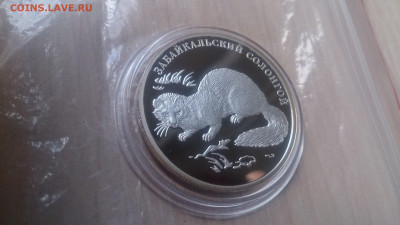 Красная книга 2012 Забайкальский Солонгой до 20.10 - DSC_0241.JPG