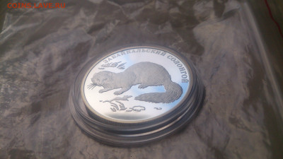 Красная книга 2012 Забайкальский Солонгой до 20.10 - DSC_0243.JPG