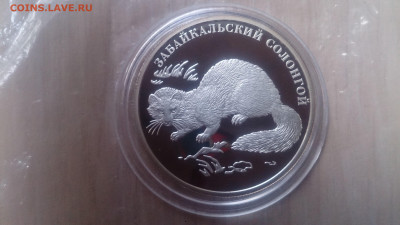 Красная книга 2012 Забайкальский Солонгой до 20.10 - DSC_0244.JPG