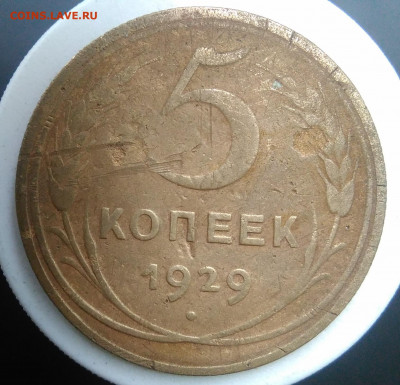 5 копеек 1929 года до 18.10.2019 - IMG_20190913_173705