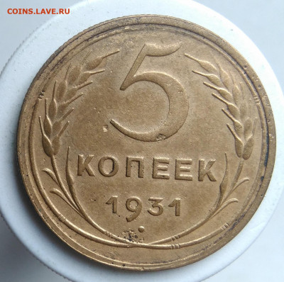 5 копеек 1931 года до 18.10.2019 - IMG_20190913_175732
