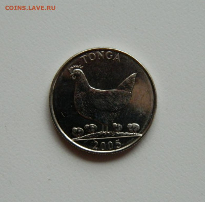Тонга 5 сенити 2005 г.(Фауна)без обращения. до 17.10.19 - DSCN9898.JPG