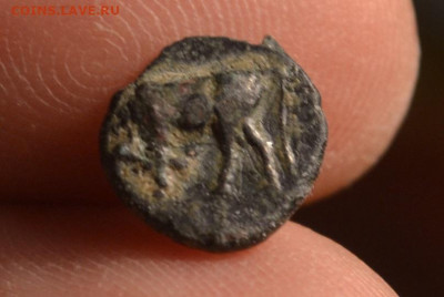 Антика.Малая Азия - CSC_0430 (1).JPG