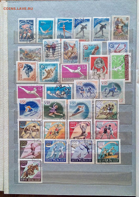 Альбом марок по теме спорт, СССР до 18.10 - 22:00 - stamp-19.JPG