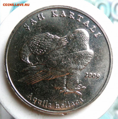 Турция 1 лира 2009 года Орел Могильник до 18.10.2019 - IMG_20190719_181145