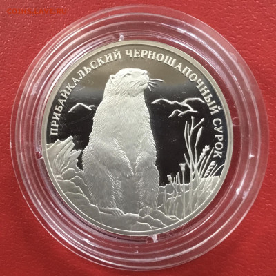 2 рубля 2008 года Прибайкальский сурок.До 22.10.19 в 22-00 - C26868EE-F768-49E0-9D26-3035473AA86E