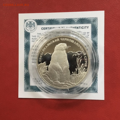 2 рубля 2008 года Прибайкальский сурок.До 22.10.19 в 22-00 - 04E624AB-733C-4468-BEC5-153D034754A9
