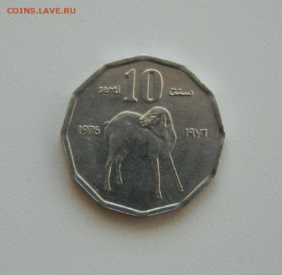 Сомали 10 центов 1976 года (Фауна)без оборота. до 21.10.2019 - DSCN9936.JPG