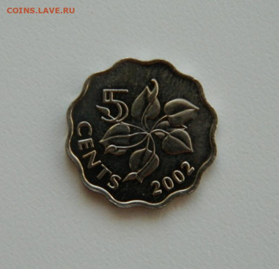 Свазиленд 5 центов 2002 г. (без оборота). до 21.10.19 - DSCN9940.JPG