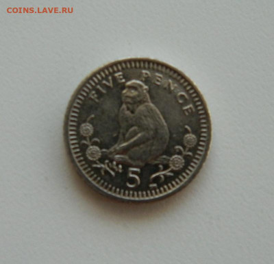 Гибралтар 5 пенсов 2003 года (Фауна). до 21.10.2019 - DSCN9960.JPG
