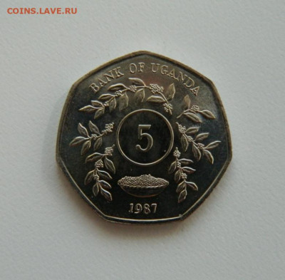 Уганда 5 шиллингов 1987 год, без оборота. до 21.10.2019 - DSCN9984.JPG