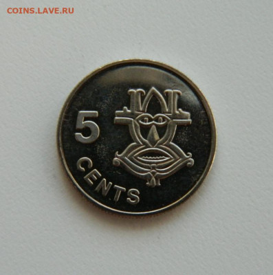 Соломоновы острова 5 центов 1996 г.(без оборота) до 21.10.19 - DSCN9978.JPG