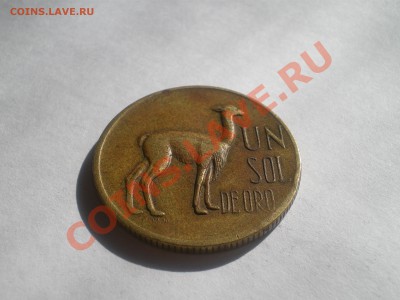 ПЕРУ ФАУНА 1971 г. до 26.07.11 в 21.00 - IMGP0132.JPG