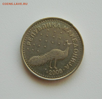 Македония 10 денаров 2008 г. (Фауна). до 22.10.19 - DSCN0028.JPG