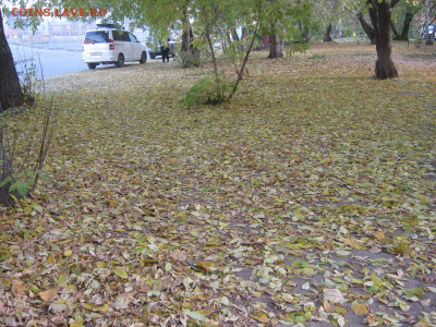 Стихи на заданную тему - IMG_5443[2].JPG