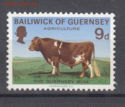 GUERNSEY 1970 9д корова ** 1м до 23 10 - 149