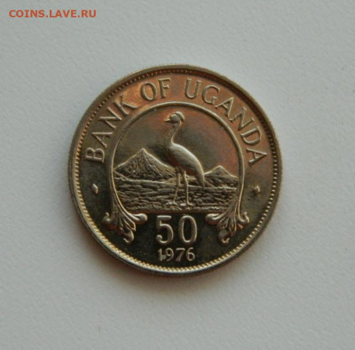 Уганда 50 центов 1976 г. (Фауна), без оборота. до 22.10.2019 - DSCN0044.JPG