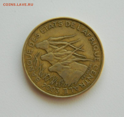 Центральная Африка 25 франков 2003 г. (Фауна). до 22.10.19 - DSCN0057.JPG