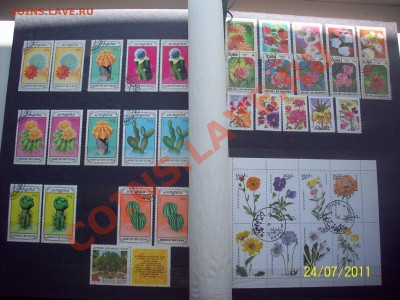 Флора 400 марок - 100_1749.JPG
