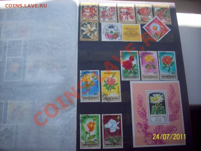 Флора 400 марок - 100_1750.JPG
