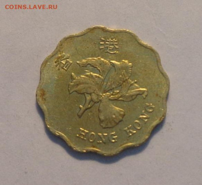 ГОНКОНГ - 20ц ЦВЕТОК волнистая до 25.10, 22.00 - Гонконг 20 ц волнистая Цветок_1