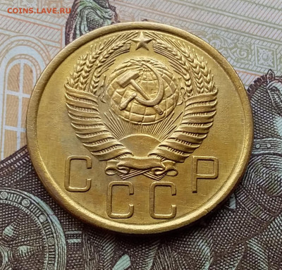 5 копеек 1955. До 25.10.19 в 22.00 - 20191020_144947