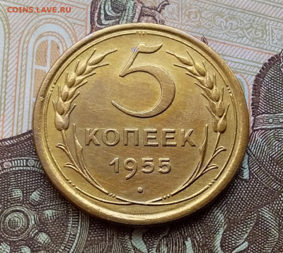 5 копеек 1955. До 25.10.19 в 22.00 - 20191020_145011