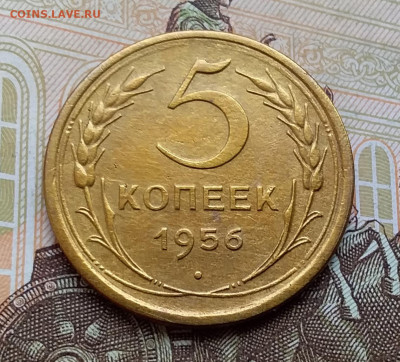 5 копеек 1956. До 25.10.19 в 22.00 - 20191020_150920