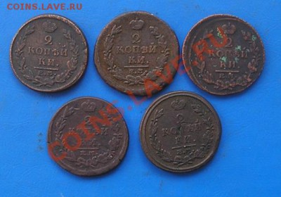 двушки империи 5 шт. - 1737-к