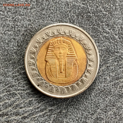 Египет 1 фунт 2008 года. До 22:00 26.10.19 - 82681F77-8F4D-4D7E-BCB0-22763E171DEE