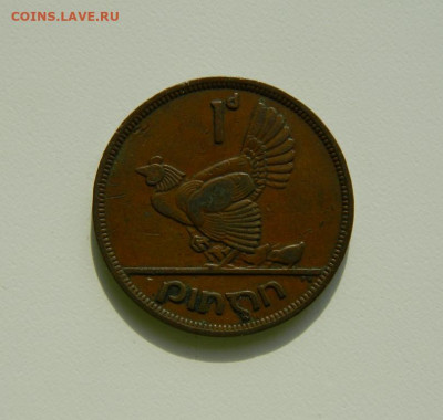 Ирландия 1 пенни 1941 г. (Фауна). до 24.10.19 - DSCN9917.JPG